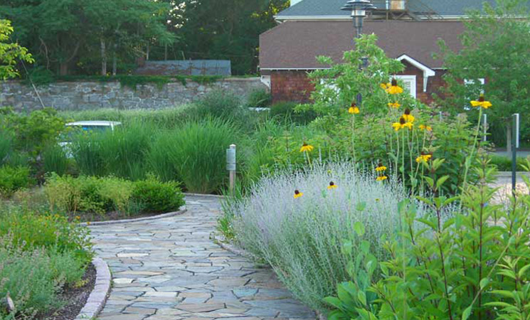 Stepping Stones Museum for Children plant design